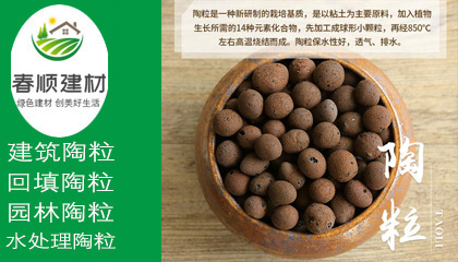 污水處理陶粒濾料<div   id=